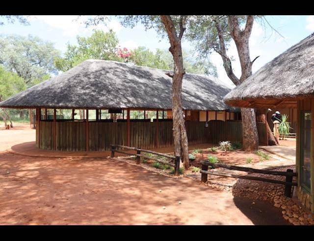 FARM FOR SALE IN LEPHALALE